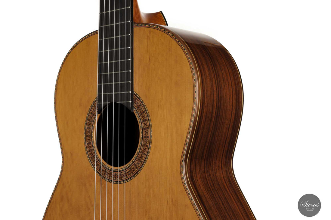 Petar Antic - 2009 No. 4