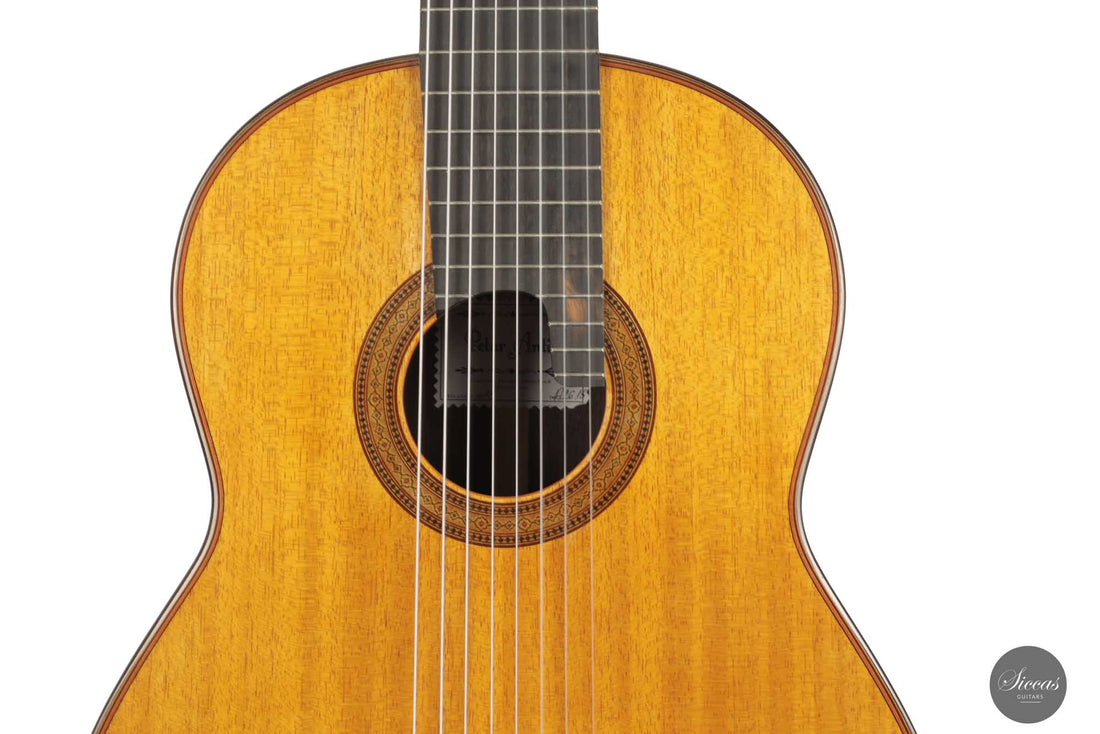 Petar Antic - 2015 8-string