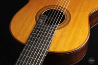 Petar Antic - 2015 8-string