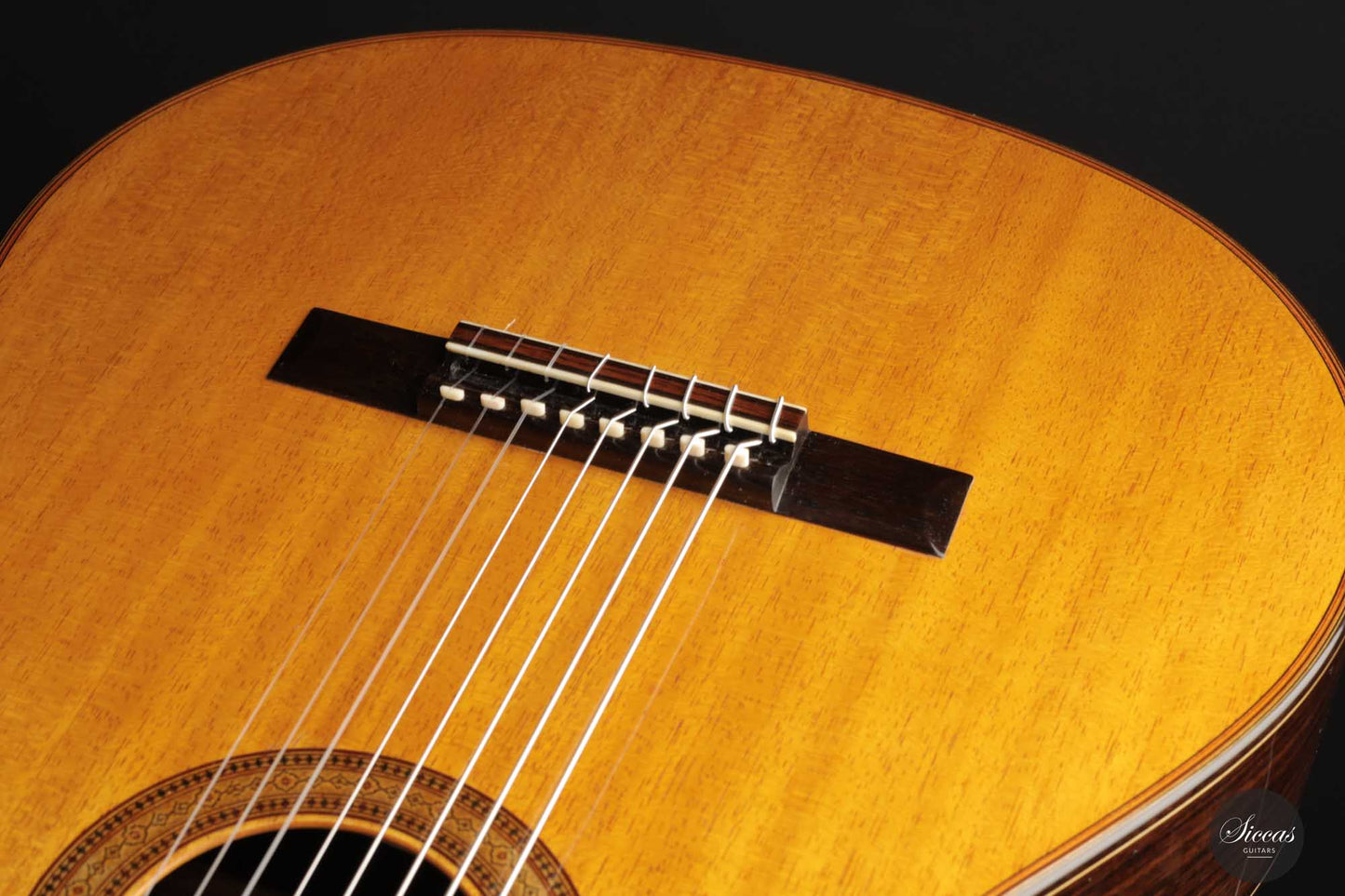 Petar Antic - 2015 8-string