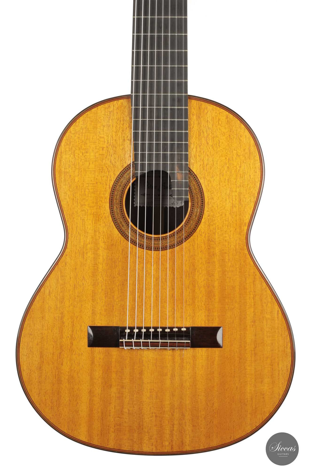 Petar Antic - 2015 8-string