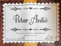 Petar Antic - 2015 8-string