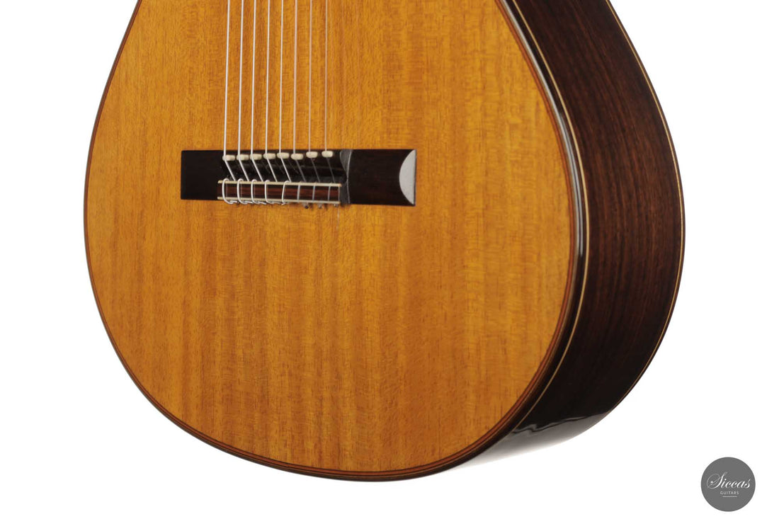 Petar Antic - 2015 8-string