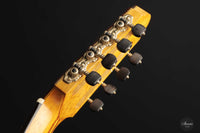 Petar Antic - 2015 8-string