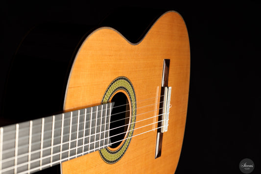 Reza Safavian - 2025 Doubletop ON HOLD img-2