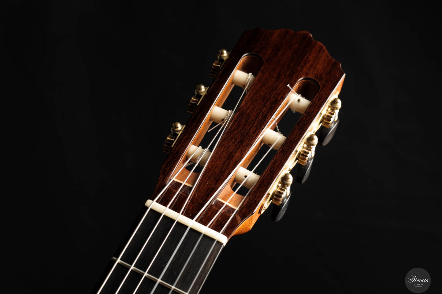 Roberto Pozzi - 2021 Concert No. 1