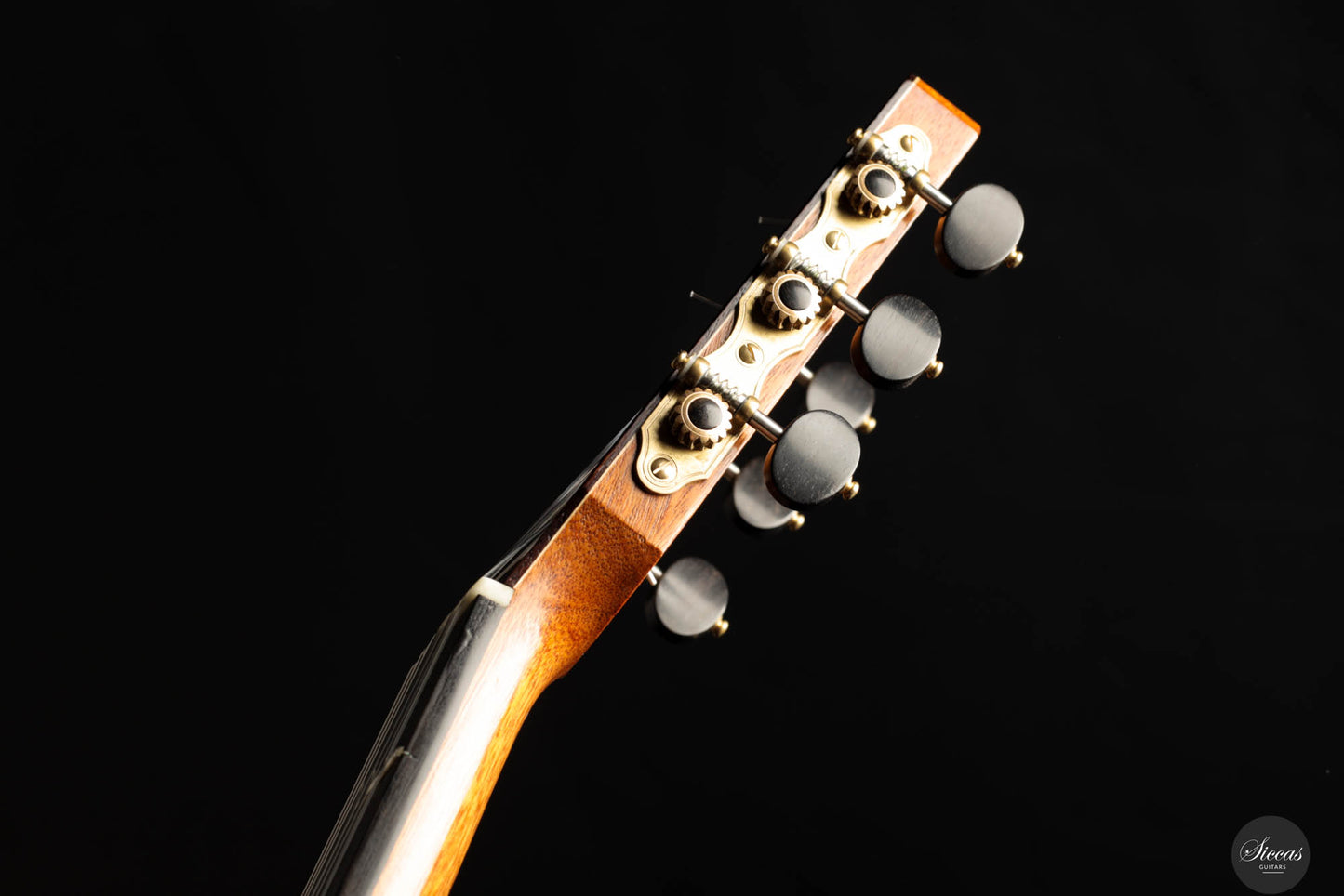 Roberto Pozzi - 2021 Concert No. 1