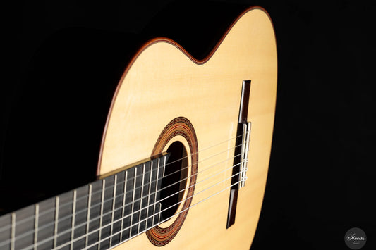 Roberto Pozzi - 2021 Concert No. 1 img-2