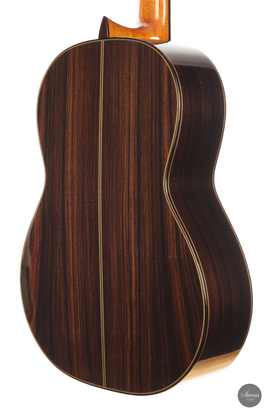Siccas Luthiers - Synthesis Doubletop Spruce