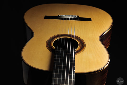 Siccas Luthiers - Synthesis Doubletop Spruce img-2