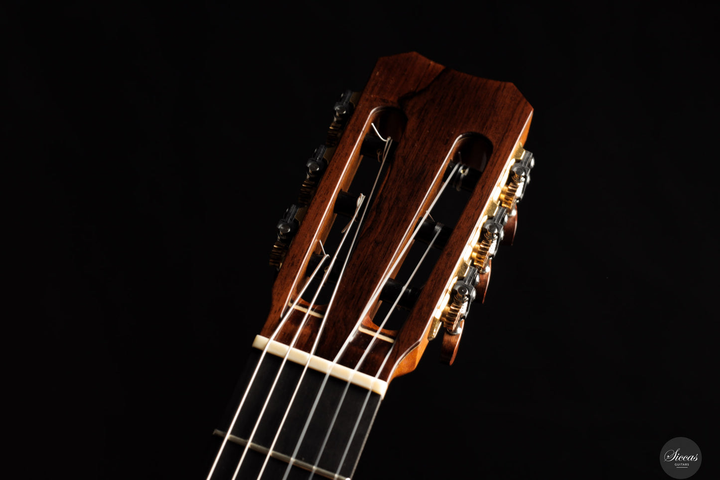 Simon Marty - 2025 Cedar/Madagascar