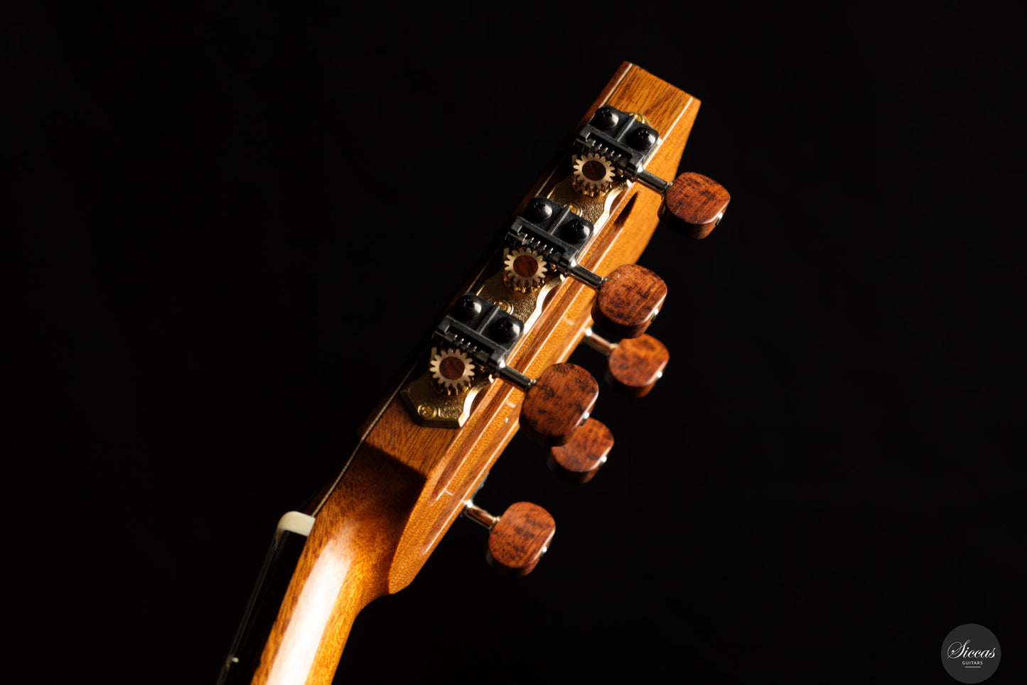 Simon Marty - 2025 Cedar/Madagascar