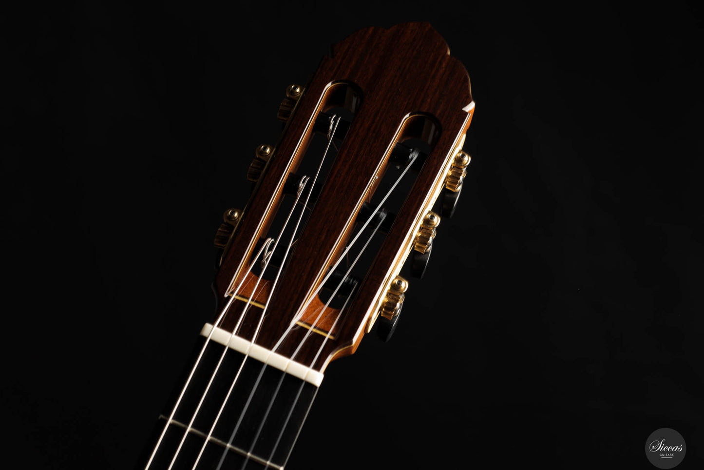 So Kimishima - 2025 Stella Classic 64 cm