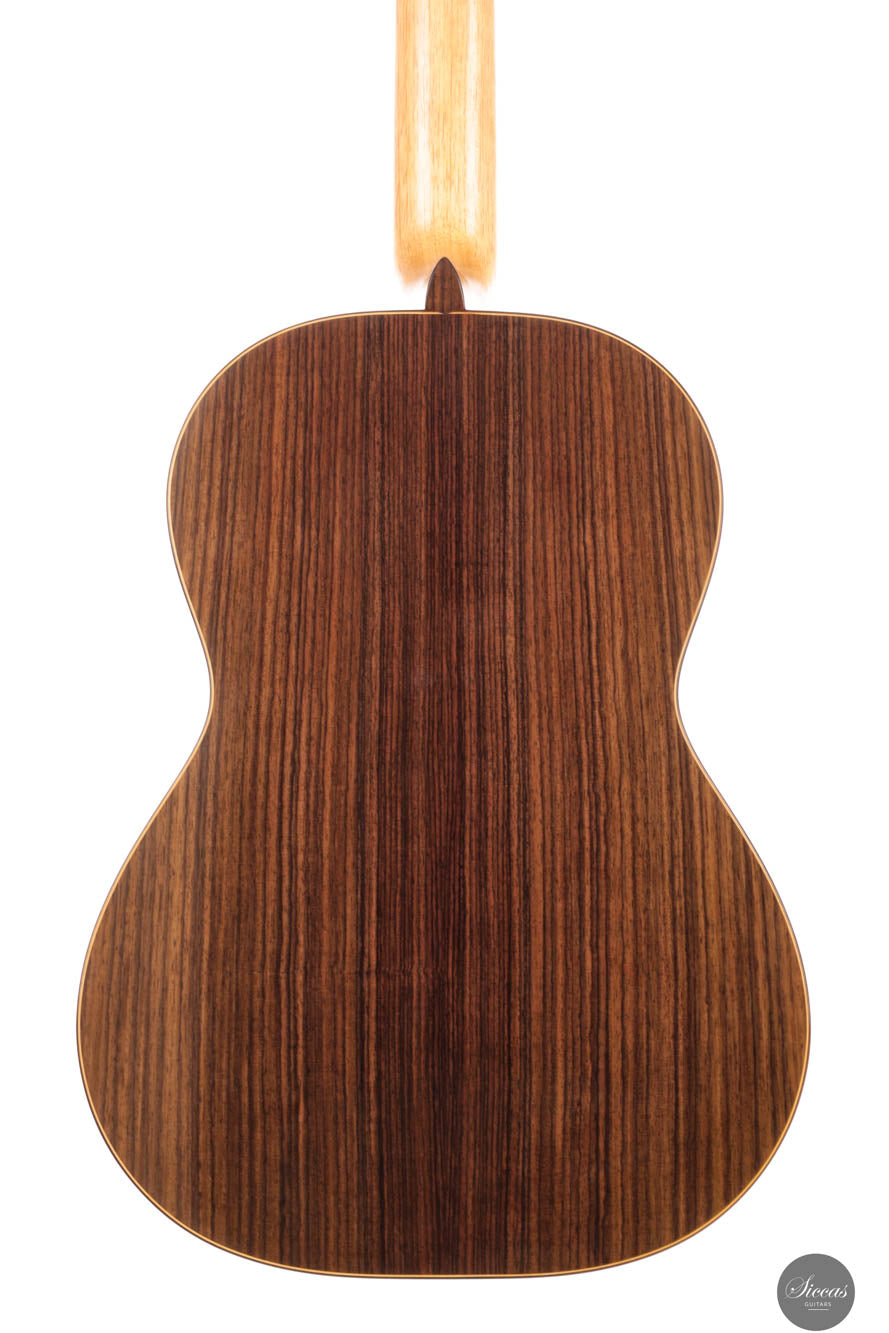 Steven Toon - 2024 - No. 118 DT - 64 cm