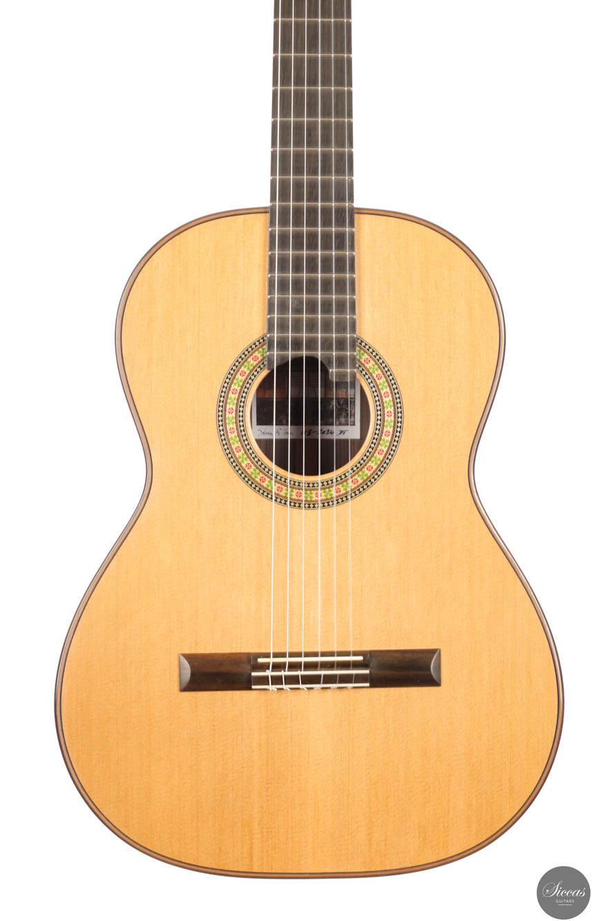 Steven Toon - 2024 - No. 118 DT - 64 cm