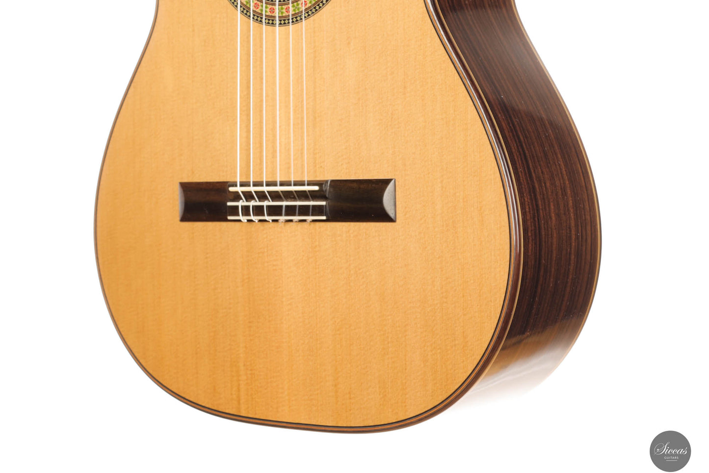Steven Toon - 2024 - No. 118 DT - 64 cm