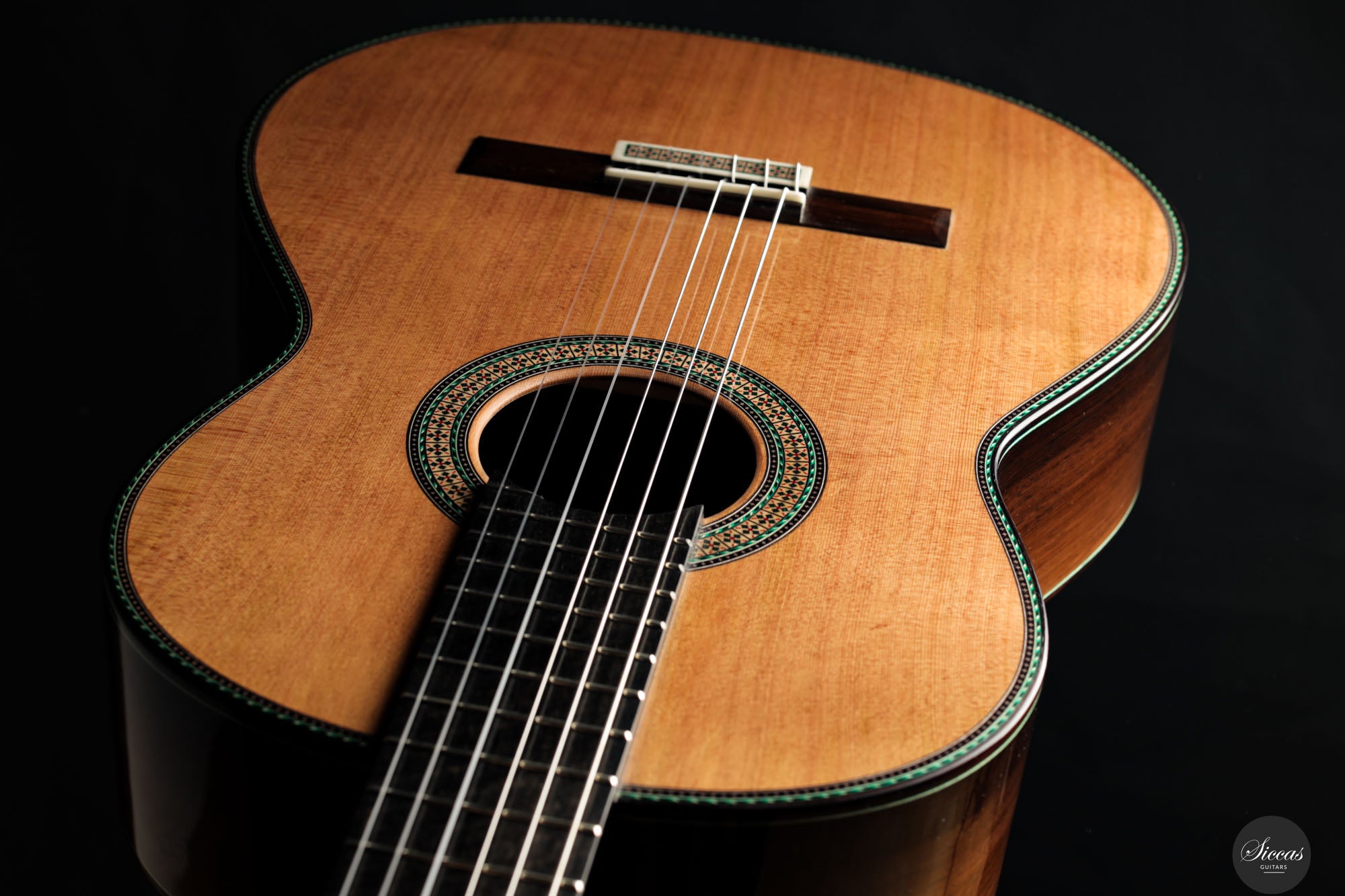 Vicente Carrillo - 2024 Maestro NX Jacarandá (Gernot Wagner