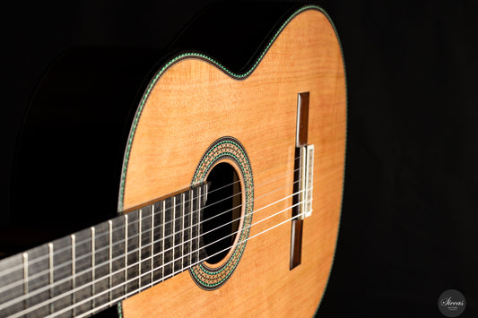 Vicente Carrillo - 2024 Maestro NX Jacarandá (Gernot Wagner Supervised) img-2