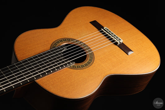 Vicente Carrillo - 7-String "Yamandu Costa" img-2