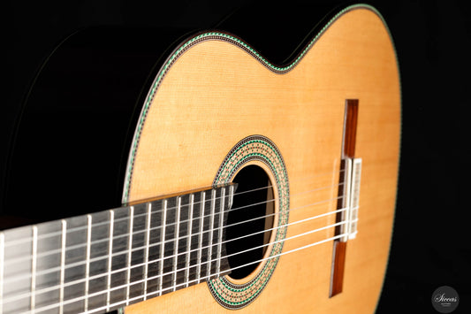 Vicente Carrillo - Maestro NX 2024 (Gernot Wagner Supervised) img-2