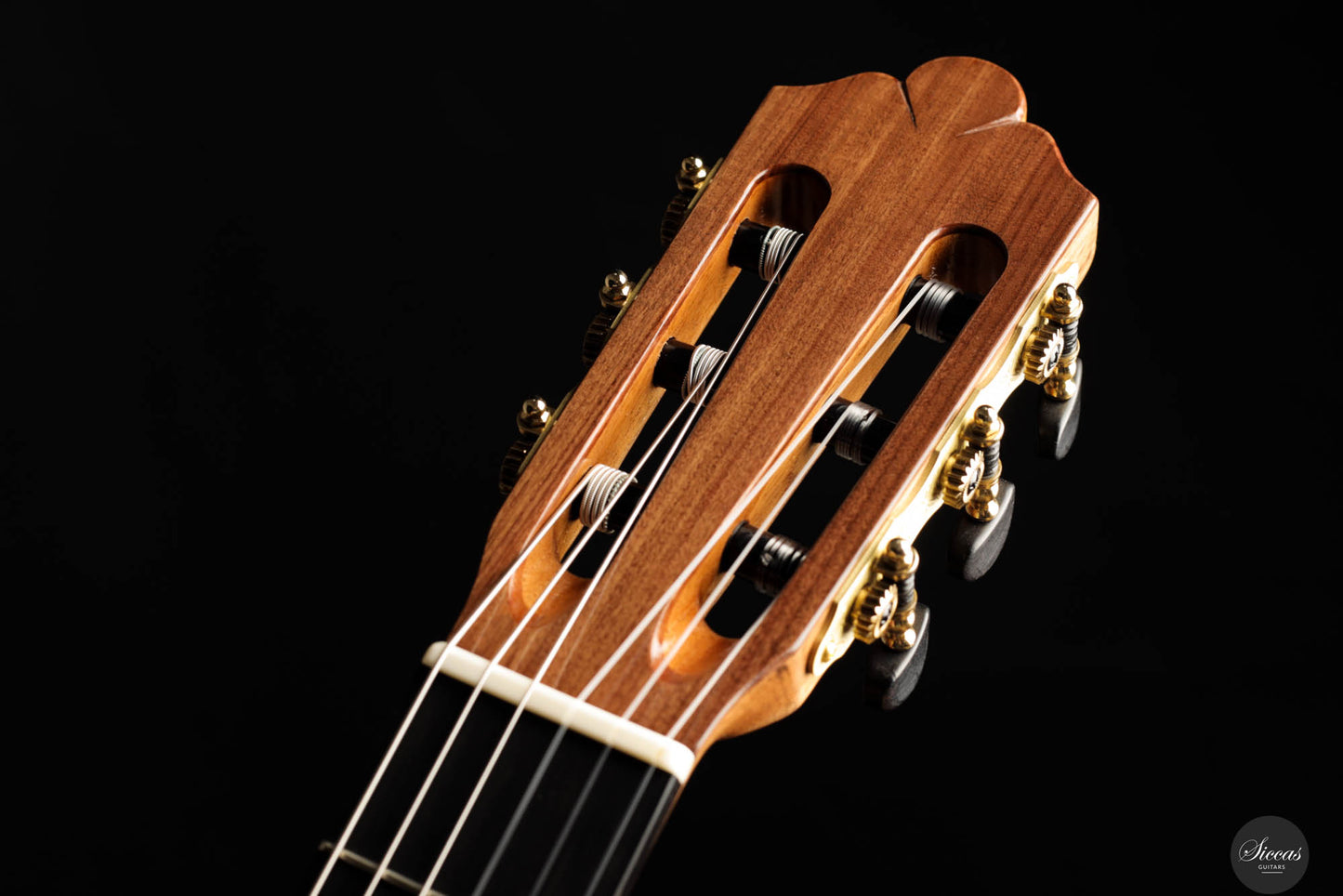 Wolfgang Jellinghaus - 2024 Conservatory EF