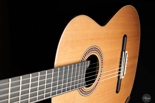 Yulong Guo - 2023 No. 78 Doubletop img-2