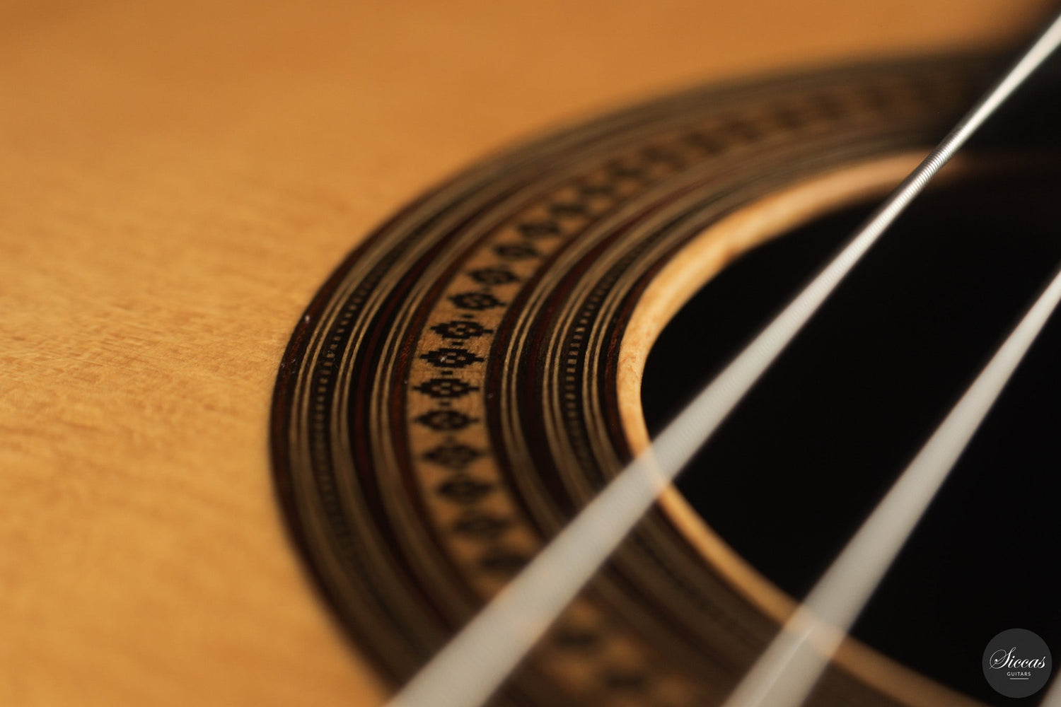 Antonio José — The Lost Genius and His Guitar Sonata