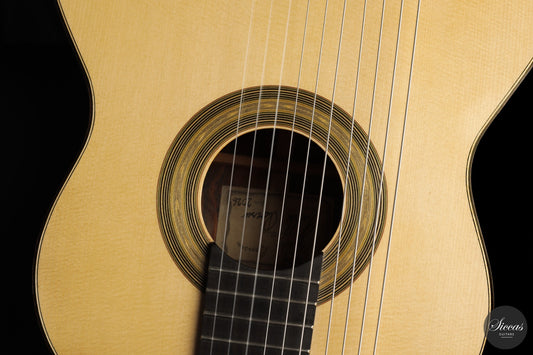 11-String Classical Guitar – Complete Guide