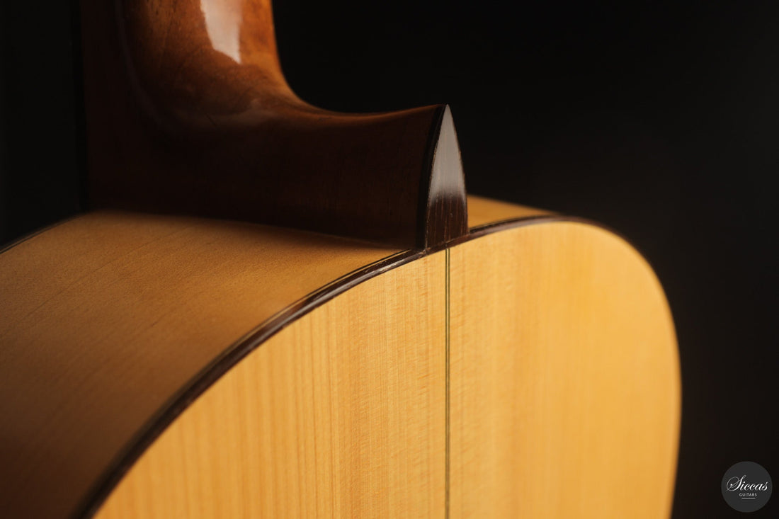Classical Guitar Technique & Care — A Player's Guide