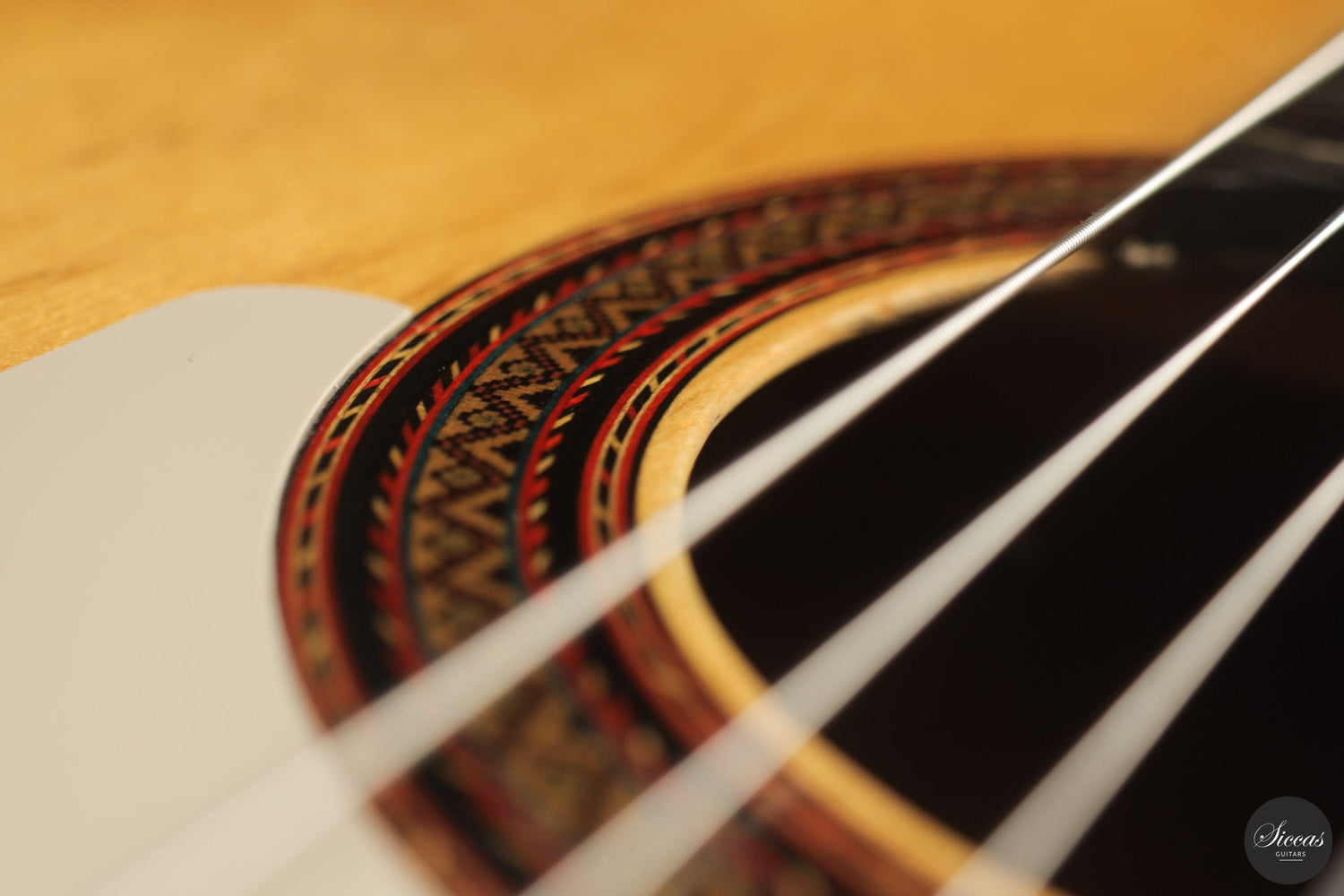 Willie Nelson's "Trigger" — The World's Most Famous Classical Guitar