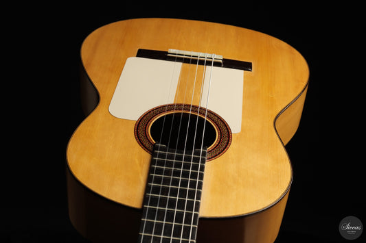 Federico Moreno Torroba — Spanish Colour for the Classical Guitar