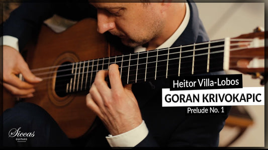 Heitor Villa-Lobos on the Classical Guitar: The Essential Guide