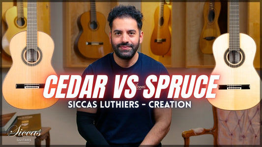 Cedar vs Spruce: Which Classical Guitar Top Should You Choose?