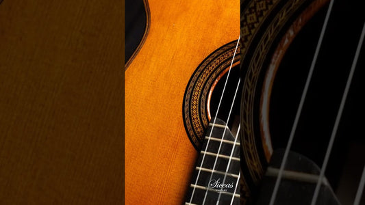 Andrea Tacchi 1994 Coclea classical guitar