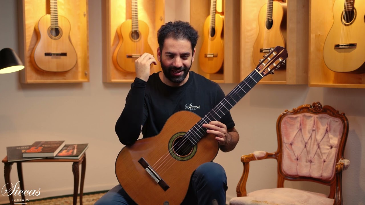 Reza Safavian: Guitarist, Luthier, and Master of the Double-Top