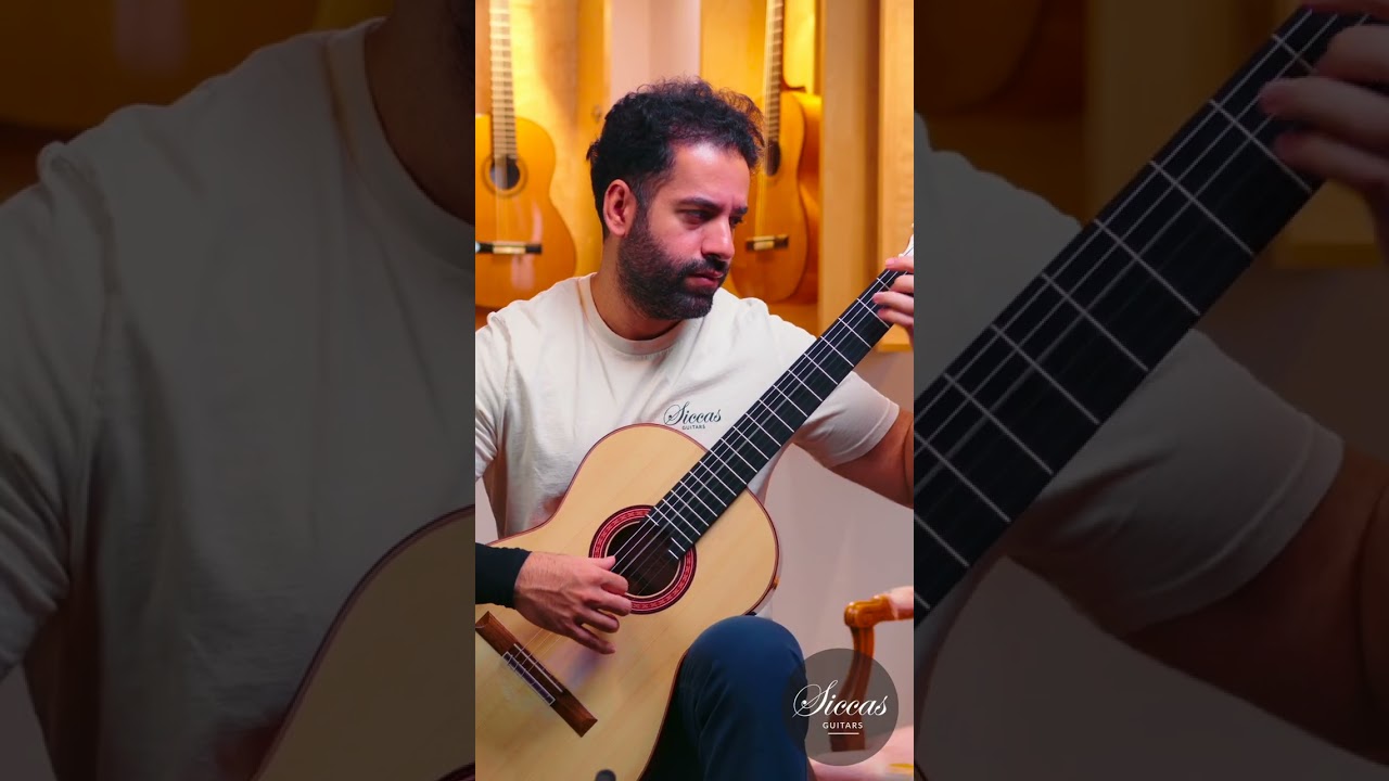 Anže Lopatič – Slovenian Luthier Bridging Science and Sound