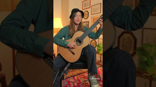 ABBA on Classical Guitar: Money Money Money