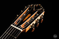 Armin Hanika – 1a Doubletop "Special Custom"
