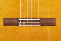 Stanislaw Partyka - 2020 Doubletop