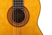 Carl-Hermann Schäfer - 2019 "Santos Hernandez"
