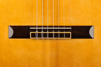 Carl-Hermann Schäfer - 2019 "Santos Hernandez"