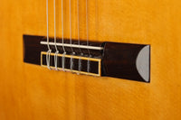 Carl-Hermann Schäfer - 2019 "Santos Hernandez"