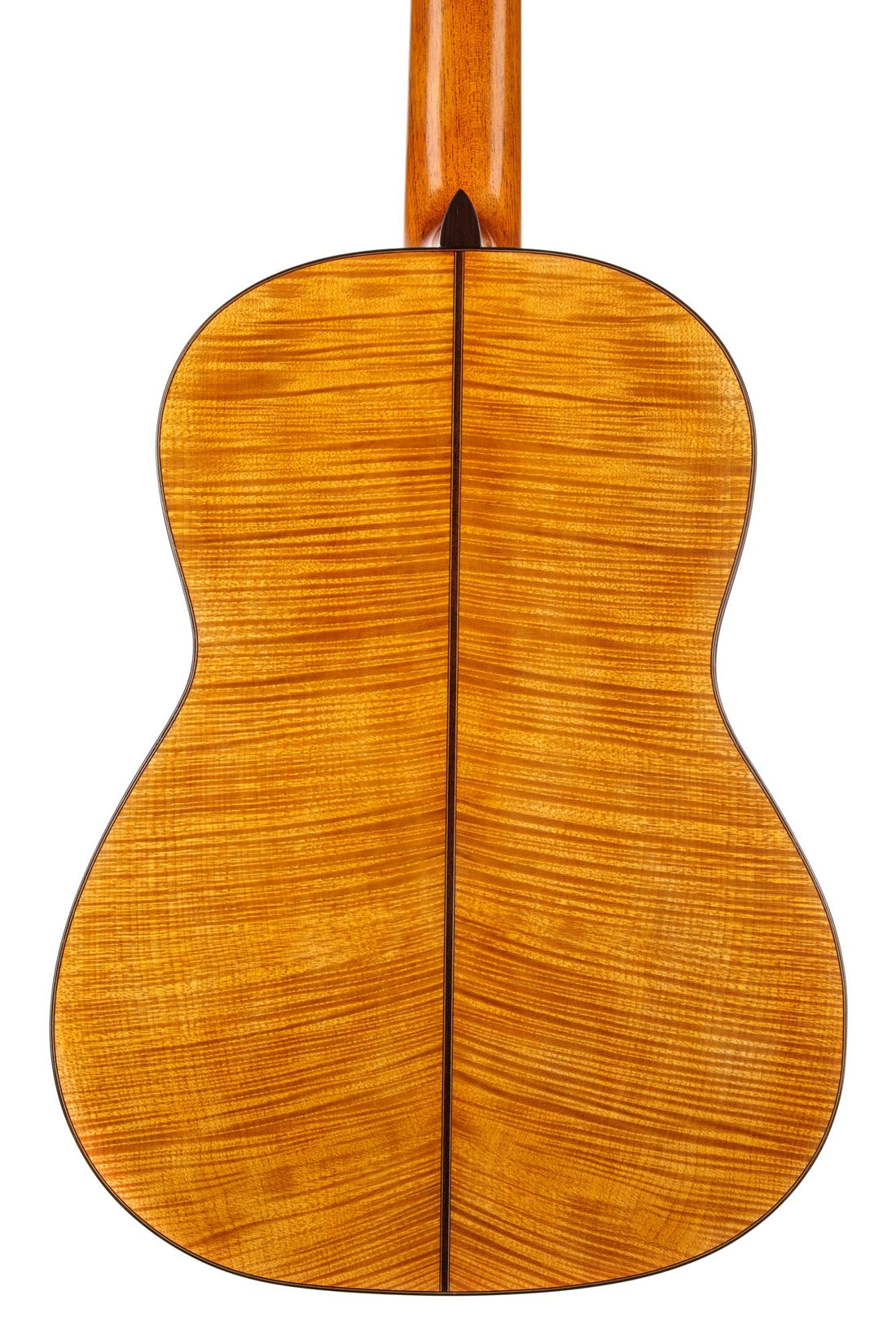 Carl-Hermann Schäfer - 2019 "Santos Hernandez"