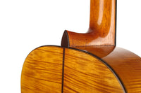 Carl-Hermann Schäfer - 2019 "Santos Hernandez"