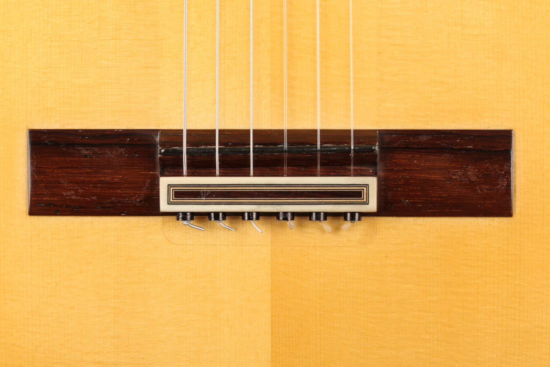 Paulino Bernabé - 2020 Especial