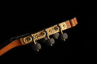 Paulino Bernabé - 2020 Especial