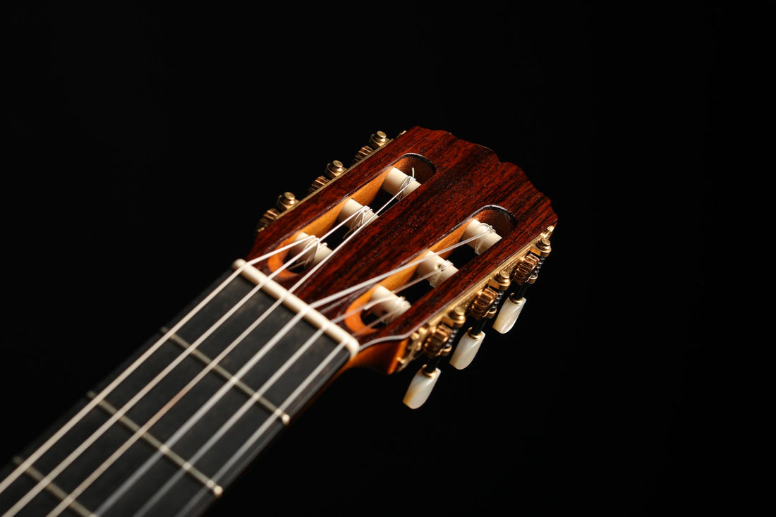 Carl-Hermann Schäfer - 2019 "Santos Hernandez"