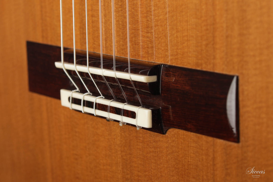 Olivier Planchon - 2020