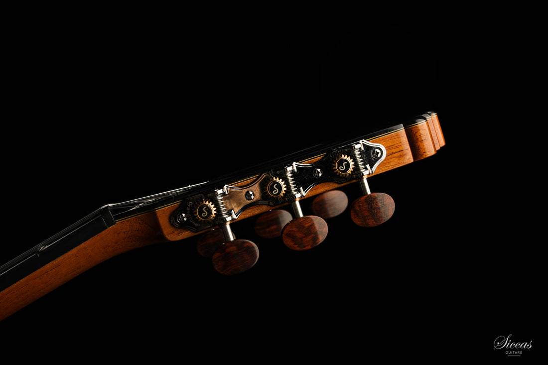 Paulino Bernabé - 2020 - 640 Zeder