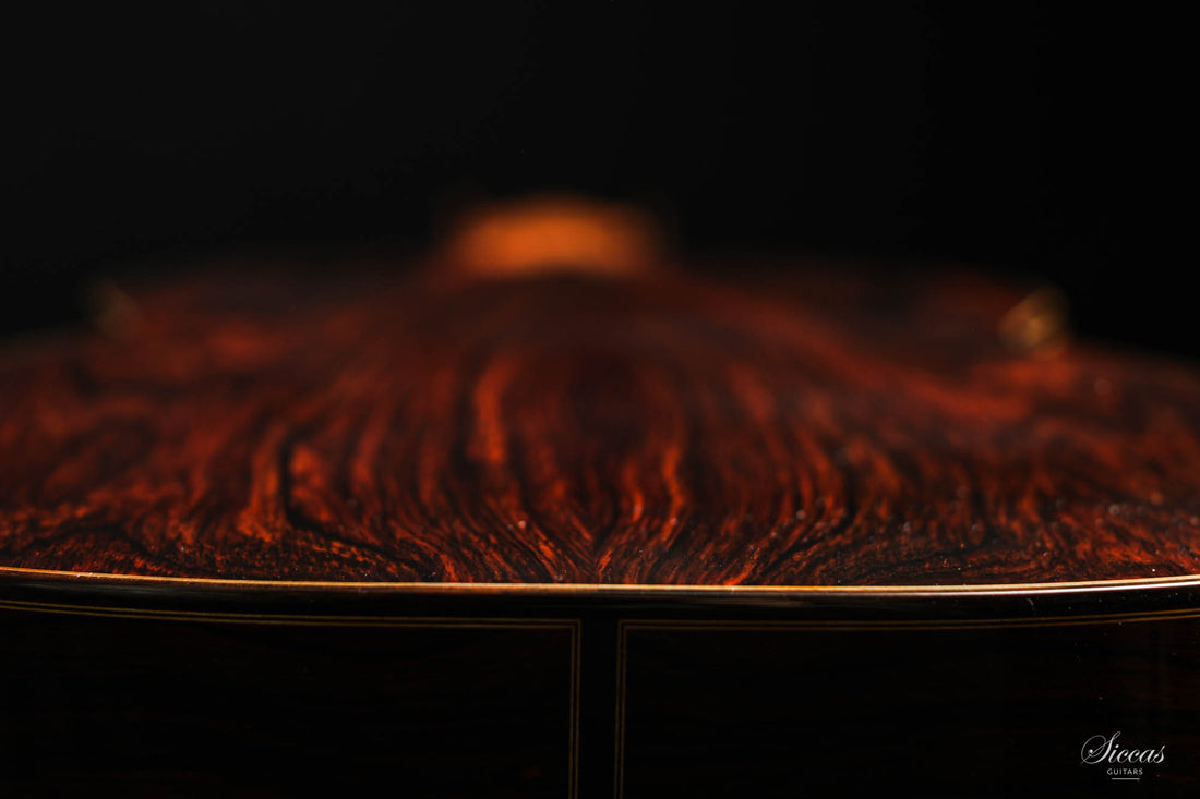 Paulino Bernabé - 2020 - 640 Zeder